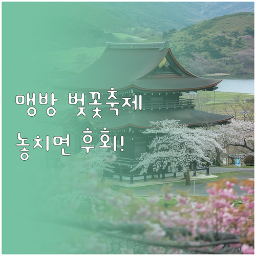 삼척 맹방 벚꽃길 축제 일정과 방문객..