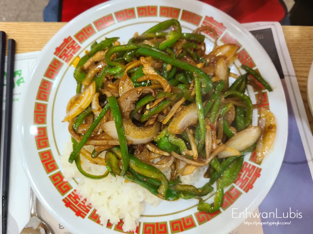 빨간색-테두리의-접시에-밥과-초록색피망-양파-고기가-올려져있는