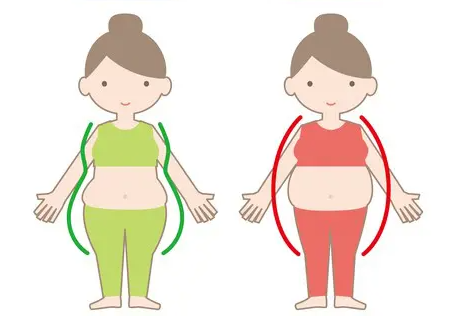 서양배형 비만을 구별하는 법