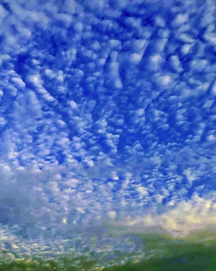 생생정보 조회 수 75만 뷰 은퇴 부부의 해루질 낮루질 촬영 도전기 영상