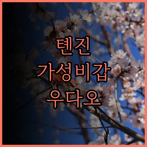 HomeinnSelected 톈진 우