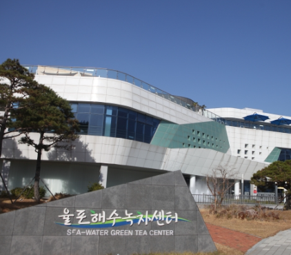 율포해수녹차센터