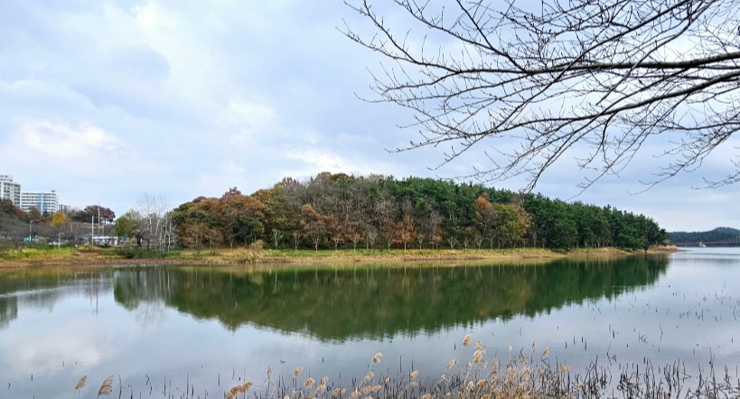 군산 가볼만한곳 베스트10