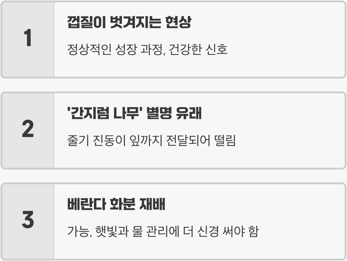 배롱나무 키우기, 실패하지 않는 5가지 핵심 비결