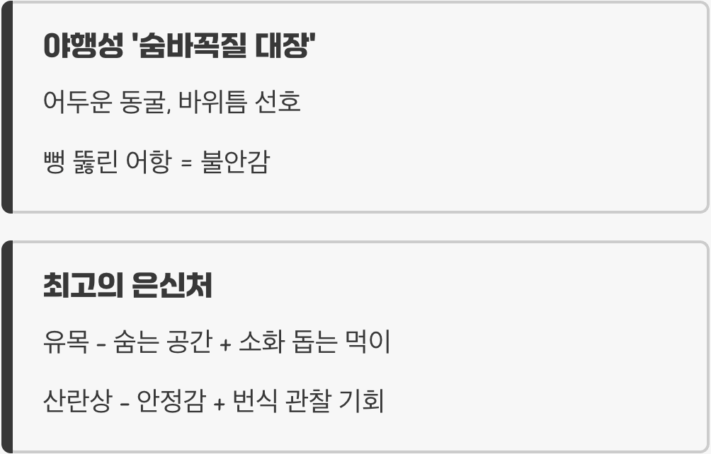 어항 - '숨을 곳'이 많은 아늑한 집