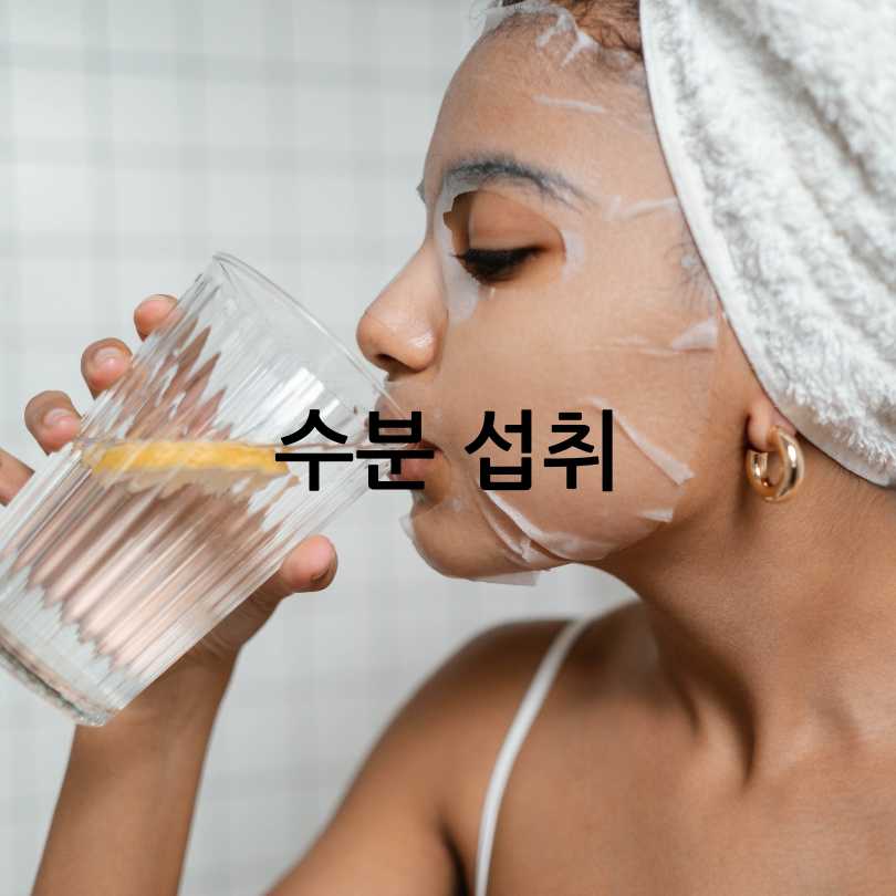 레몬버베나 다이어트