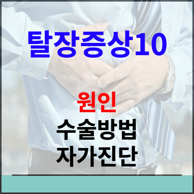 탈장증상