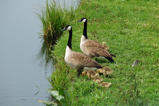 거북목 교정기: 제품 추천부터 효과와 사용법까지 완벽 정리