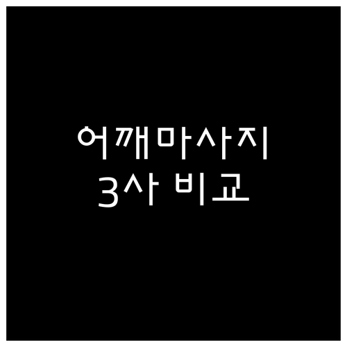 목 어깨 마사지기 추천 및 비교 제스..