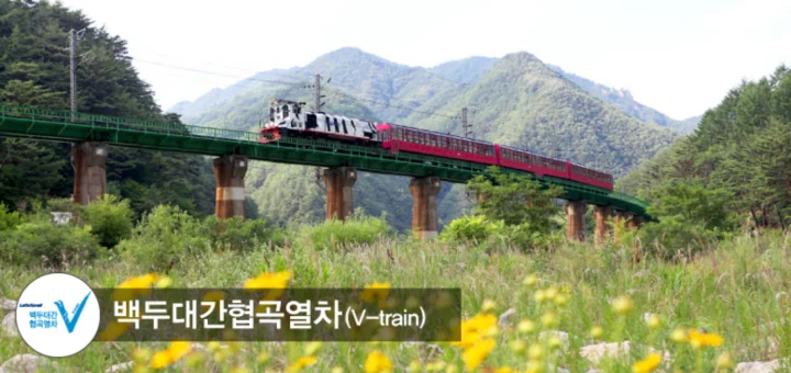 백두대간 협곡열차