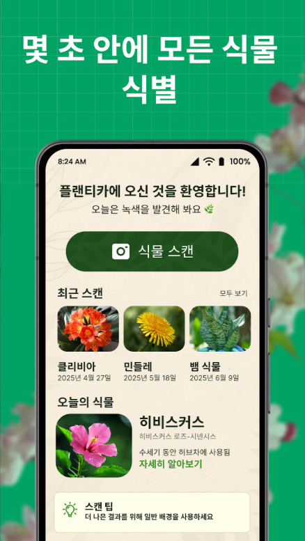 꽃 이름찾기 어플, 꽃 AI 식별기, 약초인식 카메라