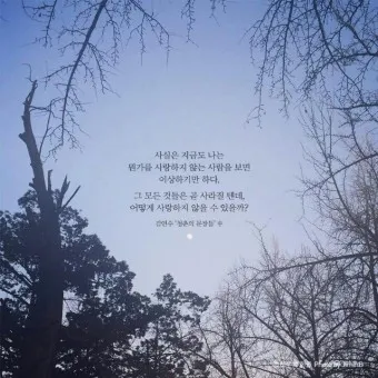 좋은 글귀 감성 글귀 이미지 일러스트 100선_10