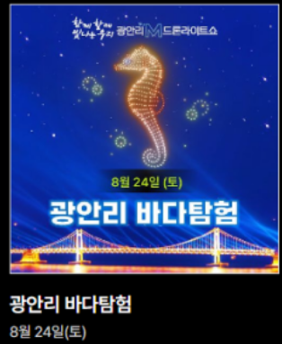 2024년 부산 불꽃 축제 티켓 예매 방법