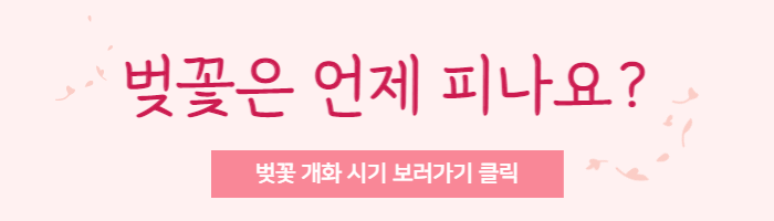 벚꽃개화시기,벚꽃축제일정