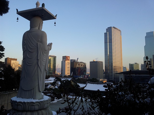 내가 실제로 가본 강남구 숨은 명소 5곳