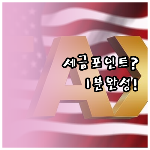 세금포인트 조회부터 사용까지 국민비서..