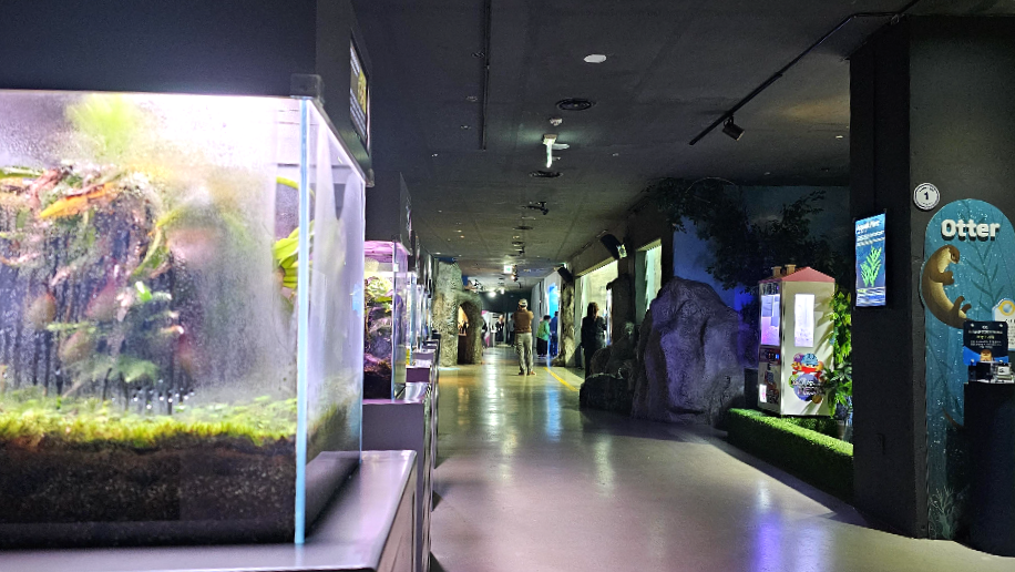 아쿠아플라넷 여수 마린라이프