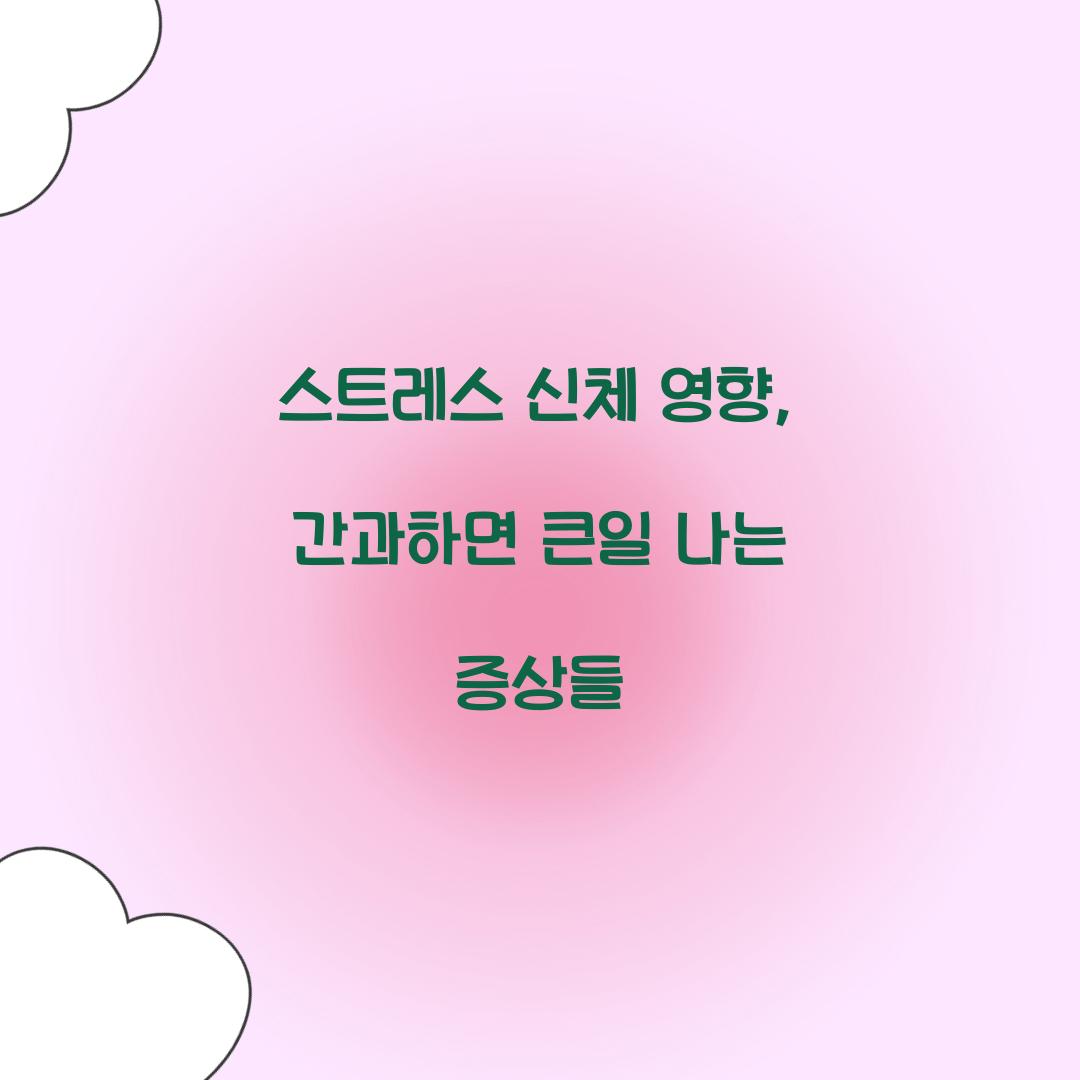 스트레스 신체 영향