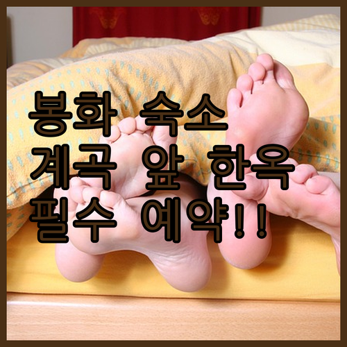 경북 봉화 가족 여행 숙소 추천 5곳..