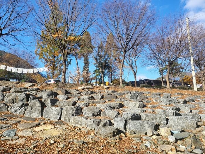 나무와-하늘사진