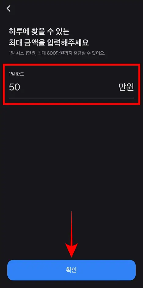 변경할 1일 한도를 입력하고 확인을 선택