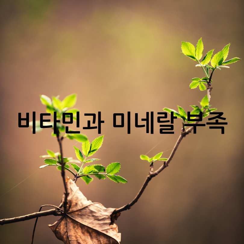 춘곤증 원인, 증상, 해결방법
