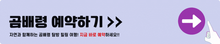 곰배령 예약