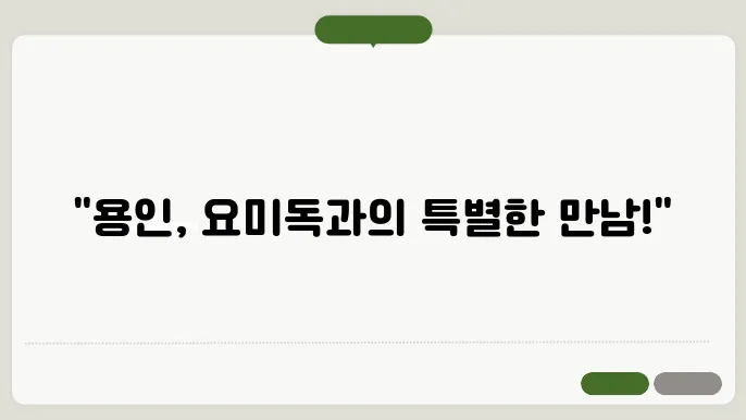 용인안에 지도 설이콘 오류