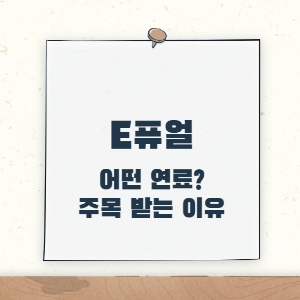 제목 _ e퓨얼은 어떤 연료이며 주목받는 이유는 무엇일까?