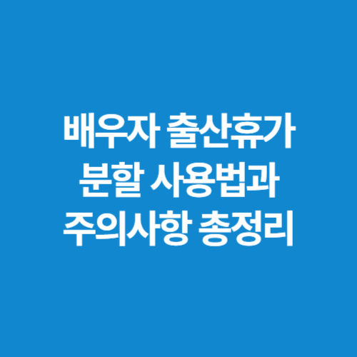 배우자-출산휴가-분할-사용법과-주의사항-총정리