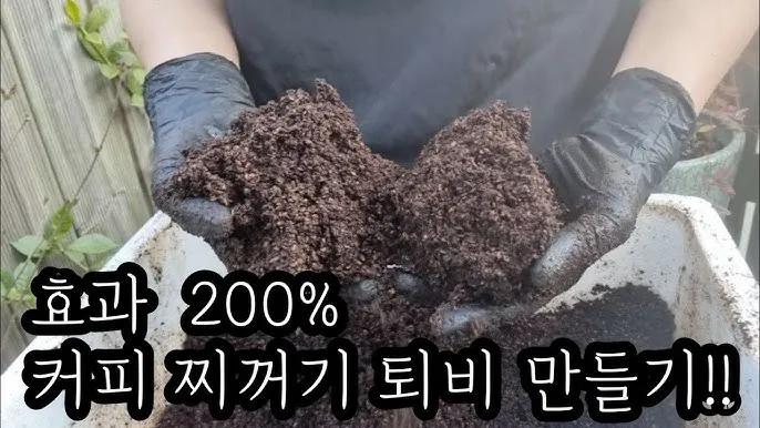 커피찌꺼기 퇴비 활용 비료대체 냄새관리 양조절 안전사용 팁_7