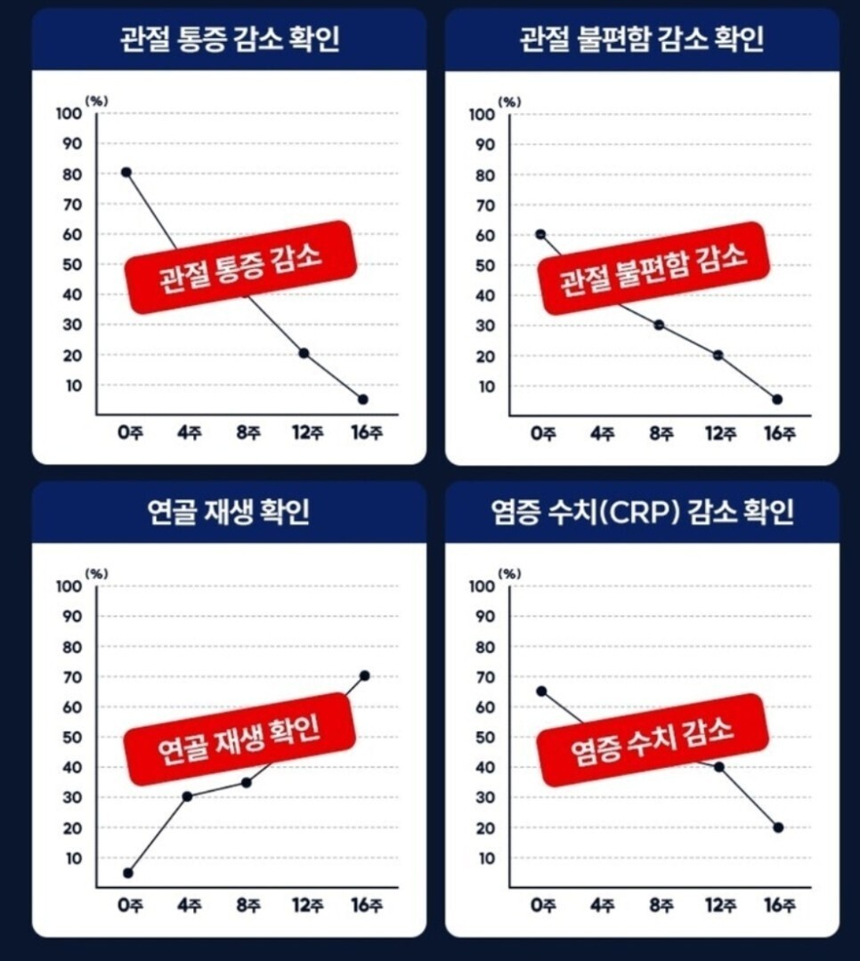 관절 영양제 추천 순위 (내돈내산 솔직후기)