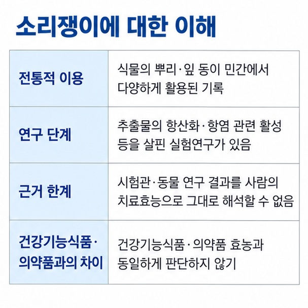 소리쟁이의 항산화 항염 항균 피부 관련 연구가 시험관 세포 수준이며 사람 대상 임상근거가 부족함을 표로 정리한 이미지