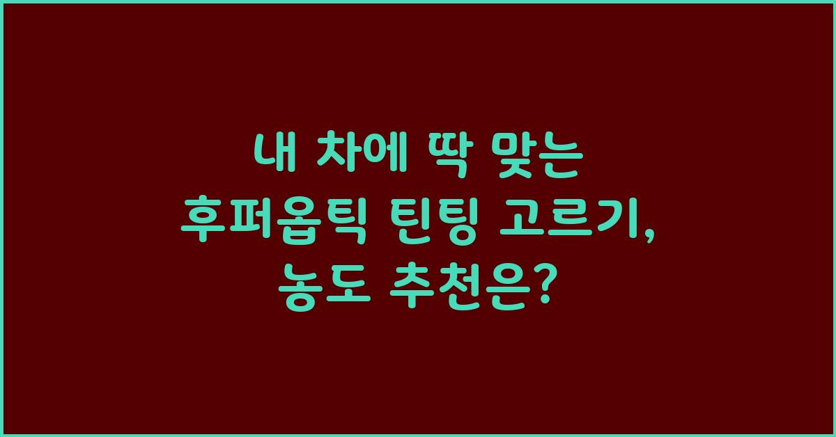 내 차에 딱 맞는 후퍼옵틱 틴팅 고르기
