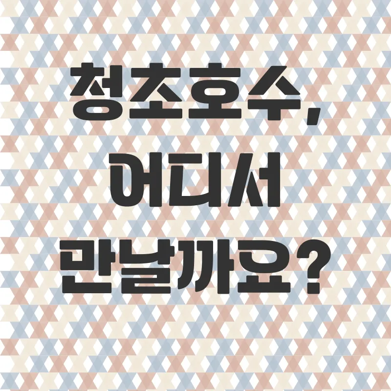 속초 청초호수 여행_1