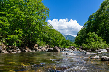 2025 여름 시원하고 조용한 국내 여행지 TOP5｜북적이지 않아 더 좋은 피서지 추천