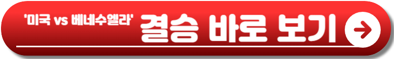 베네수엘라 WBC 결승
