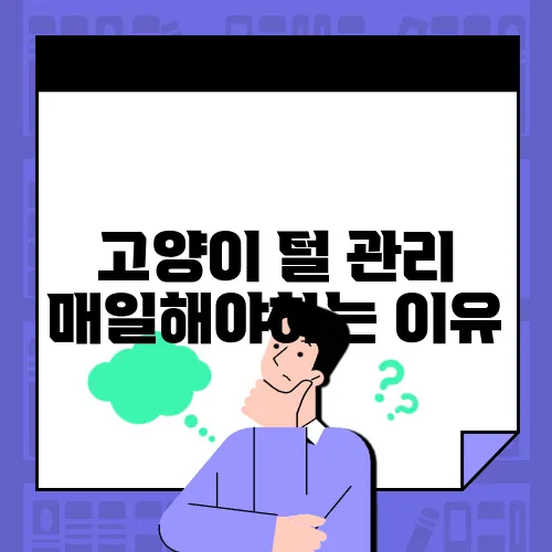 고양이 털 관리 매일해야하는 이유