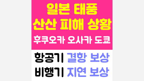 일본-태풍-후쿠오카-오사카-도쿄-산산-피해-상황-항공기-결항-지연-보상-알아보기