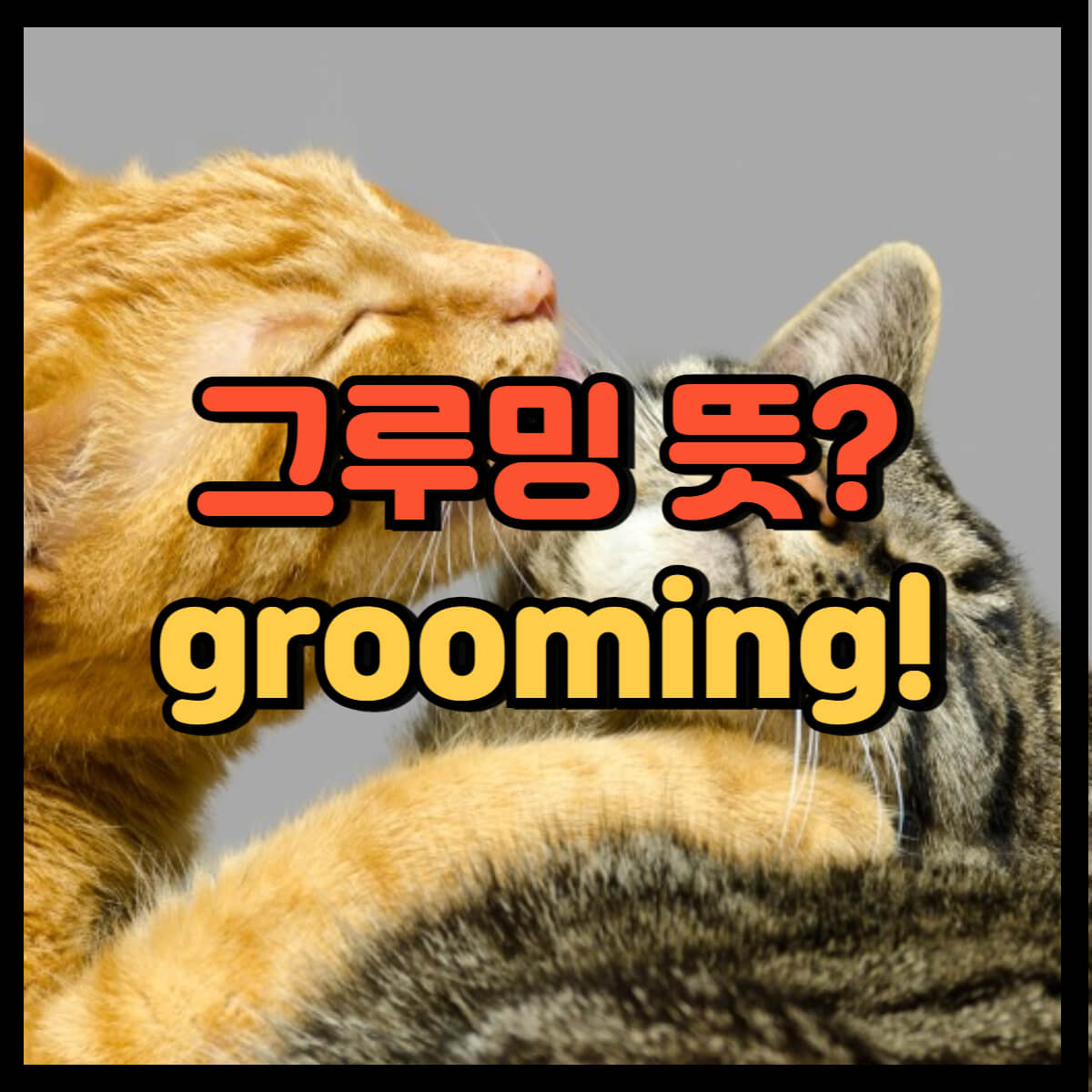 그루밍 뜻