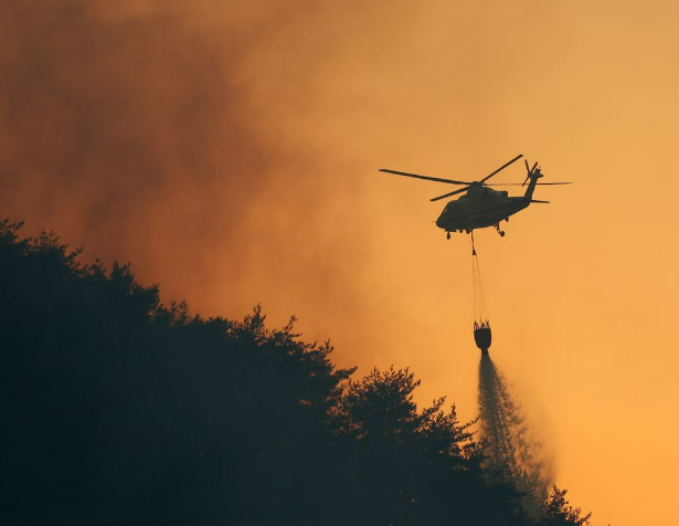 산불 방화 수사와 형사
