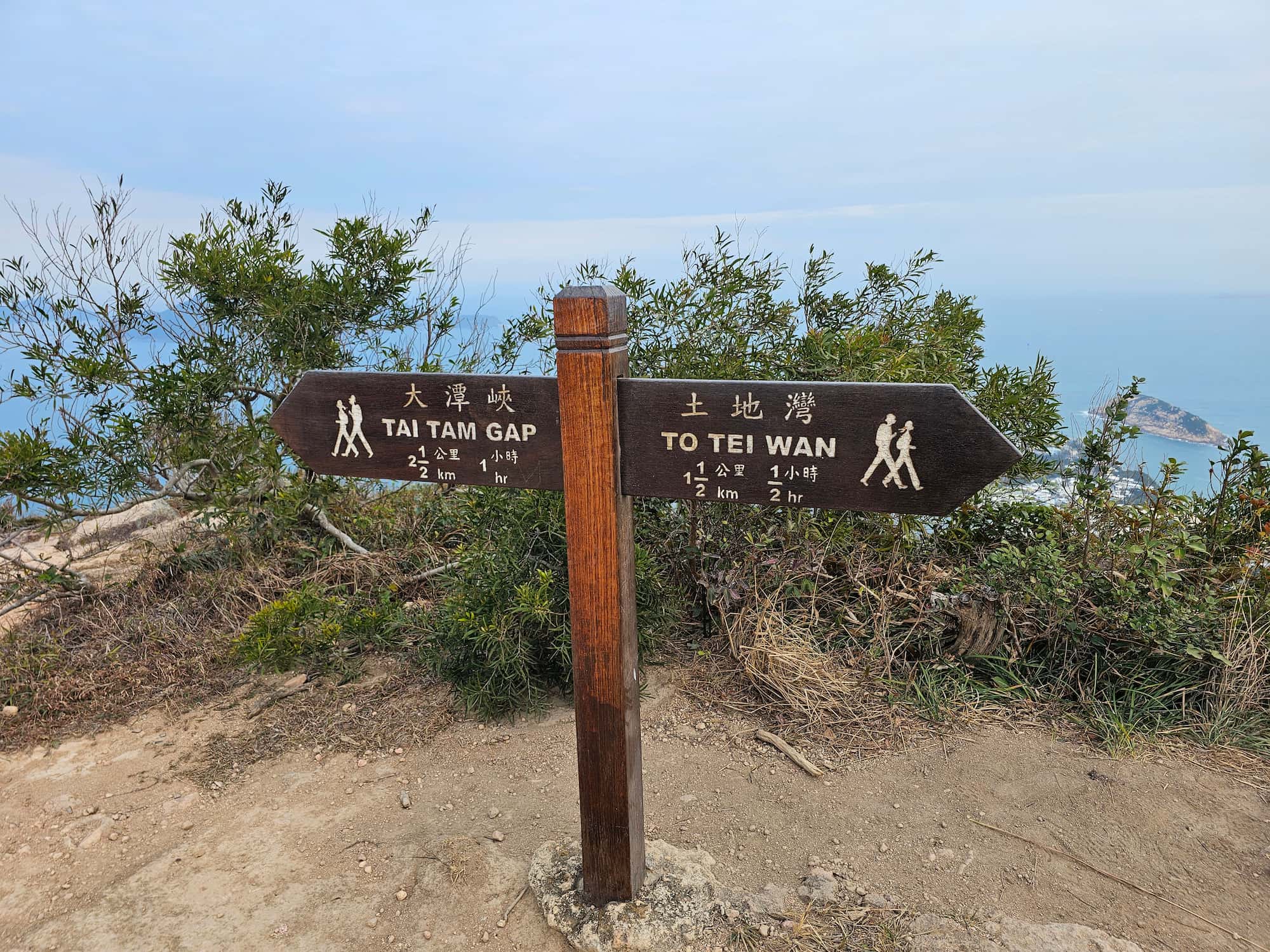 드래곤즈 백 후기