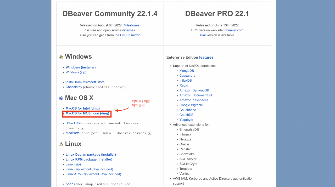 디비버 커뮤니티 버전 다운로드