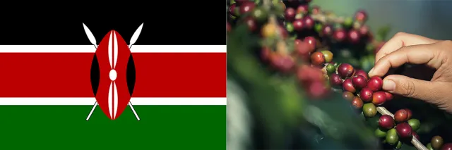 케냐 국기와 커피