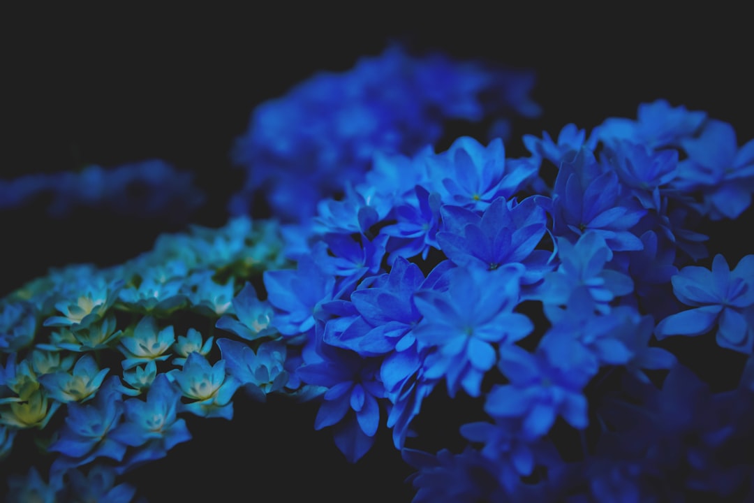Azure