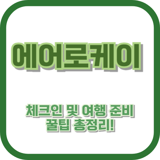 에어로케이 체크인 및 여행 준비 꿀팁 총정리!