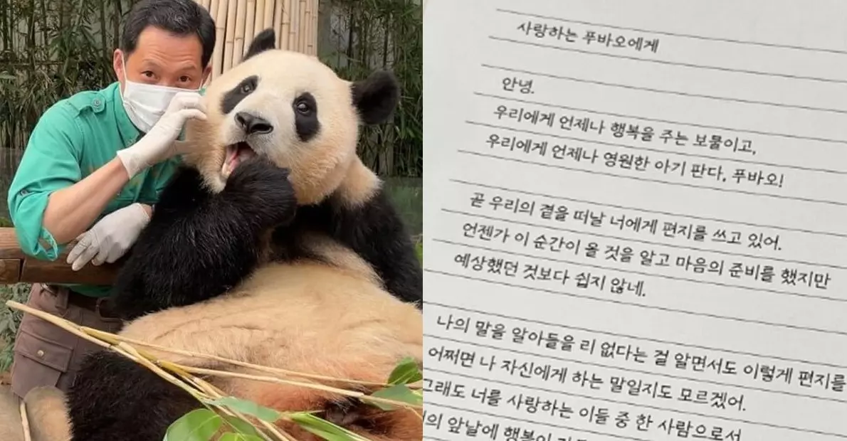 사랑하는 푸바오에게