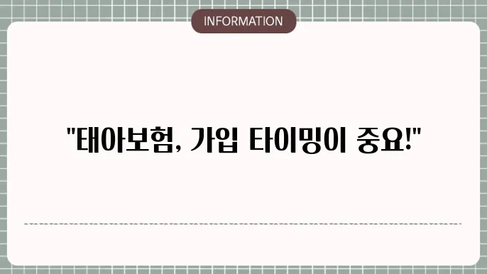 임신 태아보험 - 걸5시 매주 내용