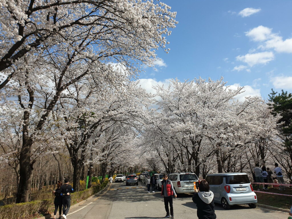 오산리 최자실 금식 기도원