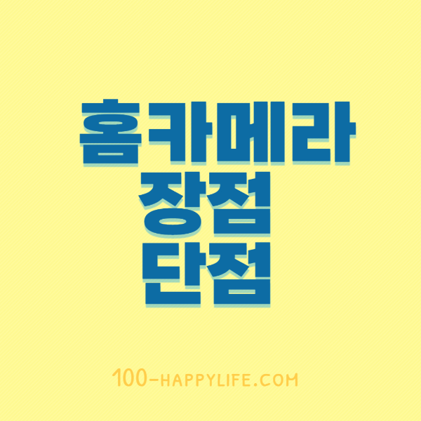 홈카메라